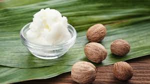 What is Shea butter?